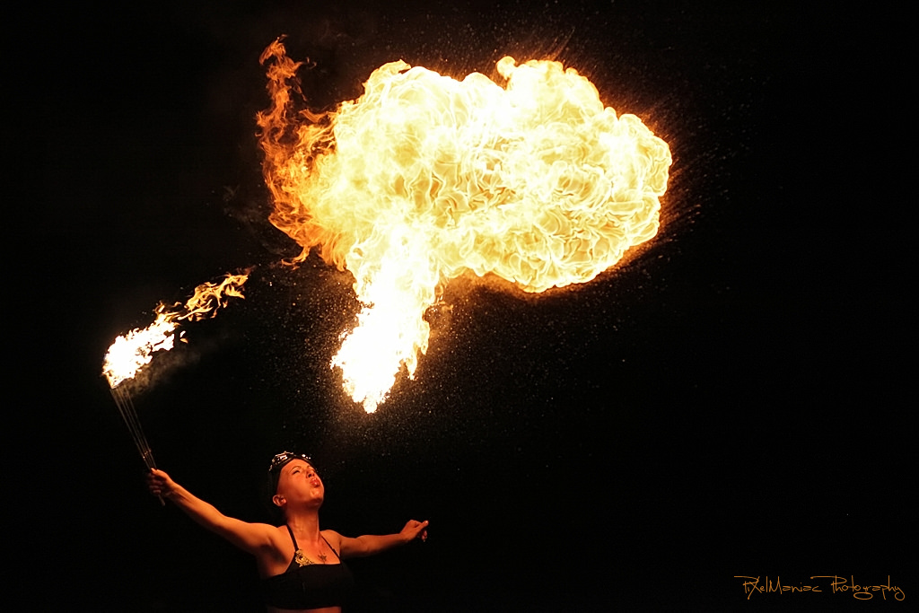 IMG 4884 2 4682934529